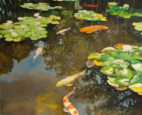 koi fish in a informal garden