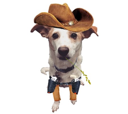 Cowboy Sam
